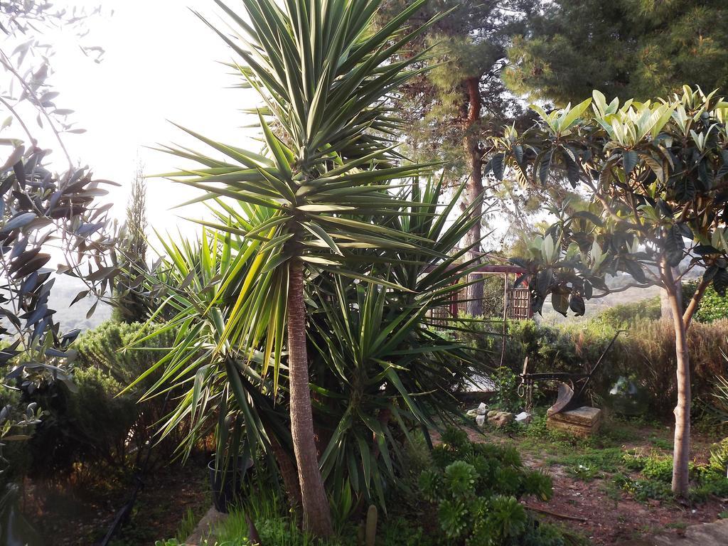 Casa Del Carrubo Villa Vieste Dış mekan fotoğraf