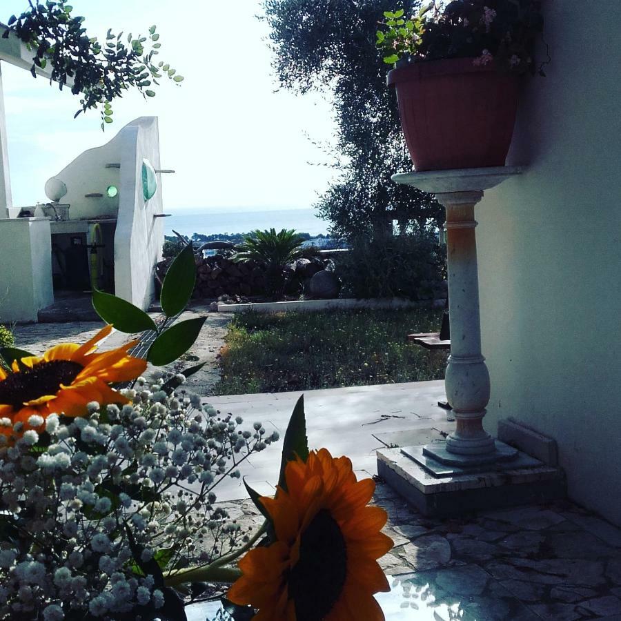 Casa Del Carrubo Villa Vieste Dış mekan fotoğraf
