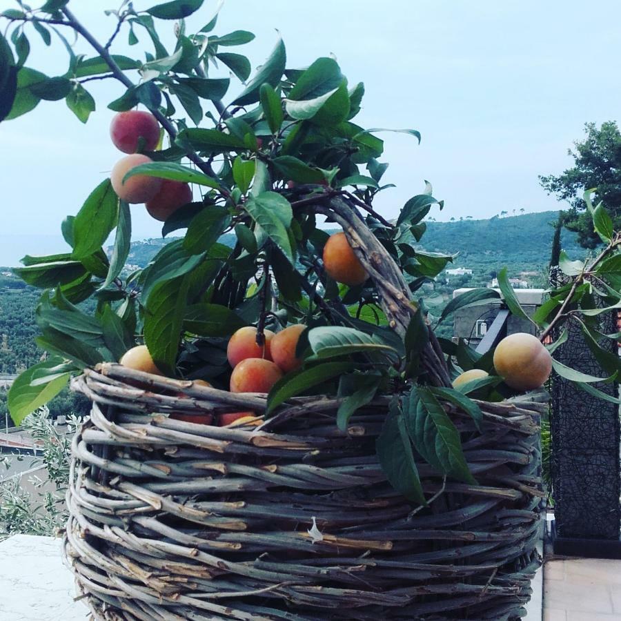 Casa Del Carrubo Villa Vieste Dış mekan fotoğraf